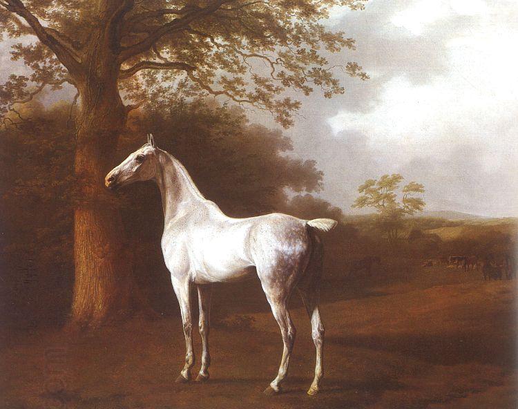 Jacques-Laurent Agasse White Horse in Pasture oil painting picture